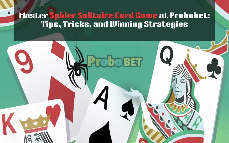 spider solitaire card game