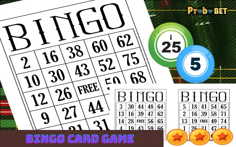 Bingo Card Game
