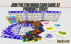 Bingo Card Game