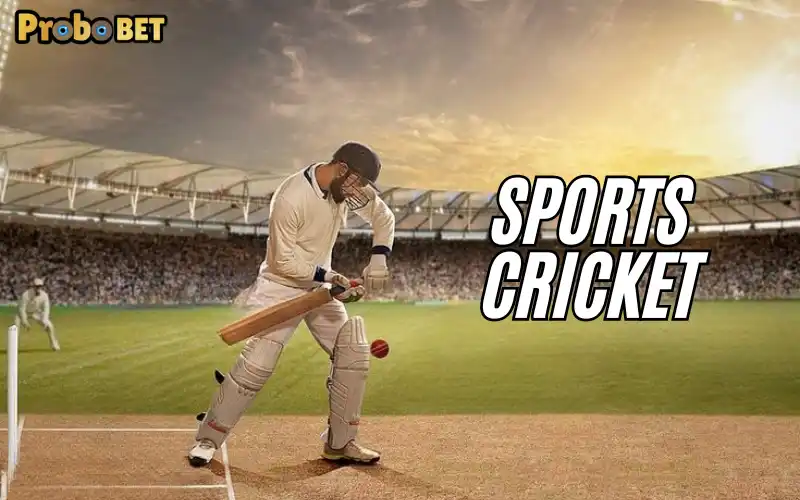 Sports Cricket