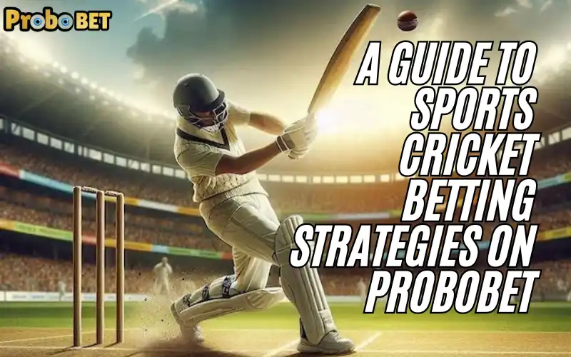 Sports Cricket