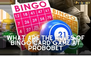 bingo card game